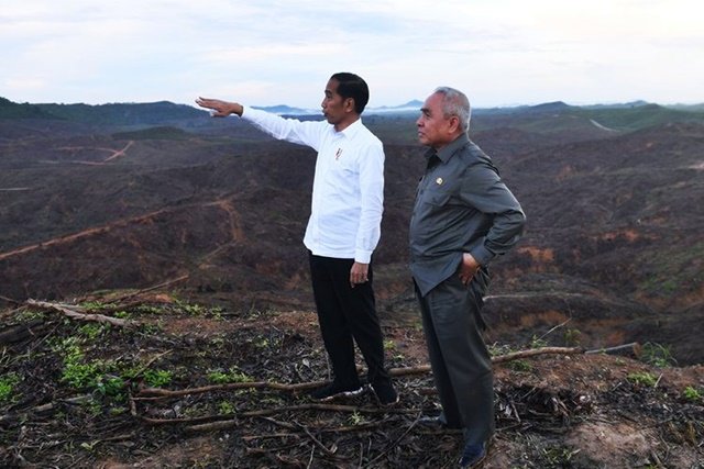 Waspada Modus Penipuan Pengadaan Lahan IKN!