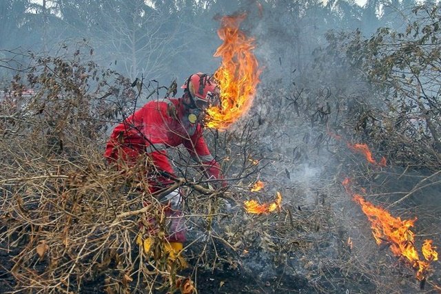 Kutim Siaga Karhutla, Tiga Kecamatan Masuk Zona Merah Musim Kemarau 2025 Waspada! 27 Titik Panas Tersebar di Kaltim, Terbanyak Kutai Timur Titik Panas di Kaltim Turun Drastis jadi 78 Titik 125 Titik Panas Terdeteksi di Kalimantan Timur BMKG Deteksi 40 Titik Panas di Kutai Kartanegara