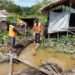 Dimas Diterkam Buaya di Depan Ayahnya