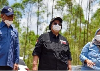 27 Ribu Hektare Lahan Mangrove di Kaltim Kritis