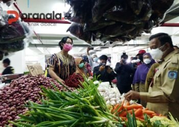 Stok Sembako Aman, Hujan dan Hama Picu Kenaikan Harga