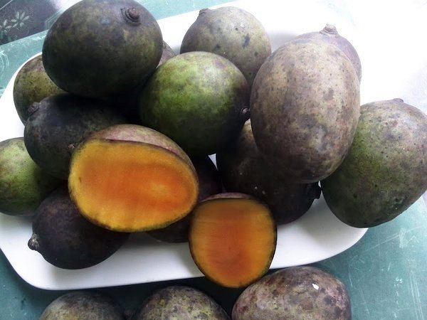 buah mangga kasturi khas kalimantan