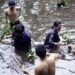 Peringati Milad ke-10, Mapala Stitek Tanam 250 Pohon Bakau