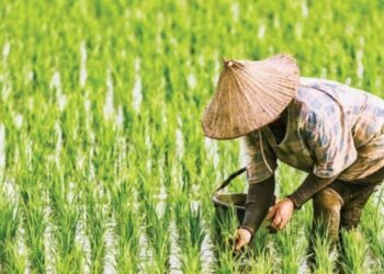 Kaltim Kejar Cetak 16 Ribu Hektare Sawah, Bekas Tambang Dihidupkan Kembali Ancaman El Nino Kaltim, Petani Diminta Tampung Air sebelum Agustus Kutim Defisit Beras 35 Ribu Ton, Produksi Lokal Baru 18 Persen Kaltim Bidik 20 Ribu Hektare Sawah Baru Tahun Ini Pupuk Kaltim Salurkan 836 Ribu Ton Pupuk Nonsubsidi, Petani Merasakan Dampaknya Penyerapan Pupuk Subsidi di Penajam Paser Utara Hanya Capai 3.766 Ton