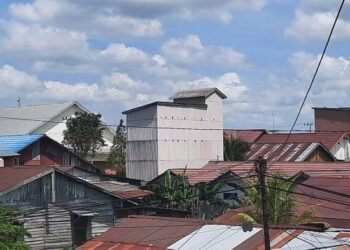 Sarang Walet jadi Sumber Dana IKN, Begini Cara Menghitung Pajaknya