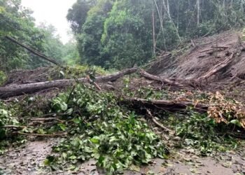 Tertimbun Longsor, Jalan Poros Kutim-Berau Lumpuh