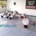 21 Atlet Ju-jitsu Bontang Disiapkan untuk Porprov Kaltim