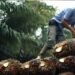 Harga TBS Sawit di Kaltim Turun Awal Januari Kaltim Punya 3 Juta Hektare Sawit, Gubernur Ajak Taiwan Masuk Industri Hilir Gubernur Kaltim Dorong KEK Maloy Kutim jadi Sentra Industri Sawit Harga TBS Sawit di Kaltim Anjlok, Berikut Daftar Harga Terbaru Harga CPO dan Kernel Melonjak, TBS Sawit Capai Rp 3.175 per Kg Harga TBS Kelapa Sawit di Kaltim Periode 1-15 Agustus 2024 Alami Penurunan, Ini Daftar Lengkapnya