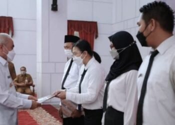 Upaya Kaltim Dorong Honorer Diangkat jadi PPPK