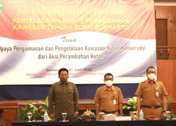Keseriusan Pemprov Selesaikan Kasus Perambahan Bukit Soeharto