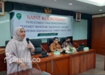 Penajam Paser Utara Masuk Kabupaten Endemis Malaria di Indonesia