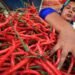 Inflasi Kalimantan Timur Tertinggi Kurun Empat Tahun Terakhir