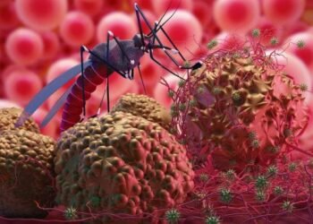 Enam Poin Kesepakatan Eliminasi Malaria di Kaltim
