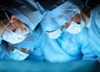 Organ Babi Dihidupkan Kembali usai Satu Jam Mati, Apakah Berdampak Positif bagi Dunia Medis?