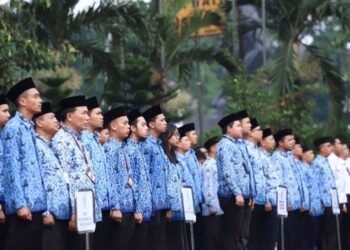 Berikut Nama Lolos Seleksi Administrasi CPNS Bontang 2024, Cek di Sini! Berikut Daftar Honorer yang Tak Masuk Pendataan Non-PNS