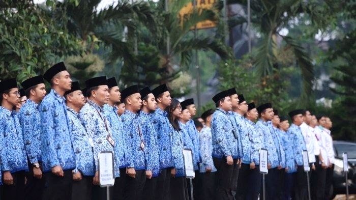 Berikut Nama Lolos Seleksi Administrasi CPNS Bontang 2024, Cek di Sini! Berikut Daftar Honorer yang Tak Masuk Pendataan Non-PNS
