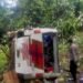 Bus Kontingen Porprov Penajam Paser Utara Masuk Jurang, 4 Atlet dan Pelatih Luka Berat