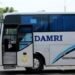 Ke IKN Nusantara Bisa Naik Bus Damri, Berikut Jadwal dan Tarifnya