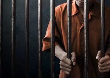 Pengedar Sabu yang Ditangkap di Gunung Elai Ini Divonis 8 Tahun Penjara Sambil Jualan Sabu, Tukang Bakso di Pulau Derawan Ditangkap Polisi Polda Kaltim Ciduk 14 Orang Terkait Tambang Ilegal di Kaltim, 2 Orang jadi Tersangka
