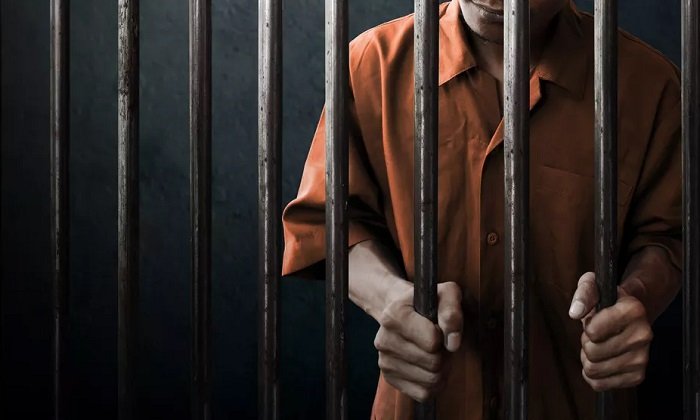 Pengedar Sabu yang Ditangkap di Gunung Elai Ini Divonis 8 Tahun Penjara Sambil Jualan Sabu, Tukang Bakso di Pulau Derawan Ditangkap Polisi Polda Kaltim Ciduk 14 Orang Terkait Tambang Ilegal di Kaltim, 2 Orang jadi Tersangka