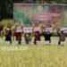 Kutai Kartanegara Ikuti Panen Raya Nusantara Satu Juta Hektare di Bukit Biru, Tenggarong