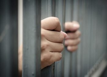 Polisi Gerebek Rumah di Berebas Tengah Bontang, Sabu Terselip di Dinding Diduga Manipulasi Pajak Rp452,8 Juta, Dua Bos Sawit di Kaltim Berurusan dengan Kejari Balikpapan Ibu di Balikpapan Tega Memaksa Kedua Anaknya Menegmis, Jika Menolak Mereka Disiksa