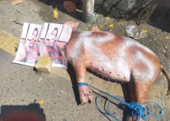 Ormas Dayak Berdemo di Balikpapan, Ada Aksi Sembelih Babi Inisial RG