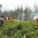 171 Titik Panas Terdeteksi di Kaltim, Kutim jadi Wilayah Terparah 51 Titik Panas Terdeteksi di Kaltim, Kutai Barat dan Paser Terbanyak Kaltim Siaga Karhutla, Titik Api Mulai Terpantau di Kutim dan Paser Waspada! 183 Titik Panas Ditemukan di Kaltim Lahan Gambut 1,5 Hektare di Samarinda Ludes Terbakar