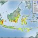 51 Titik Panas Landa Kalimantan Timur 418 Titik Panas Terdeteksi di Kaltim, Terbanyak di Paser