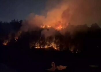 Bencana di Kaltim Sudah Bisa Diprediksi Lebih Awal Diduga Sengaja Dibakar, Lima Hektare Hutan dan Lahan di Balikpapan Membara