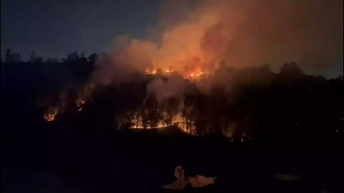 Bencana di Kaltim Sudah Bisa Diprediksi Lebih Awal Diduga Sengaja Dibakar, Lima Hektare Hutan dan Lahan di Balikpapan Membara