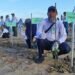 Komitmen Lestarikan Lingkungan, PT Kaltim Nitrate Indonesia Tanam 6 Ribu Bibit Mangrove di Wilayah Pesisir Bontang