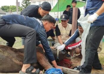 Lapas Kelas II A Balikpapan Sembelih 7 Ekor Sapi, Dimasak dan Dibagi ke Warga