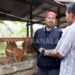 Serahkan Bantuan 19 Ekor Sapi Ternak Kelompok Tani, Bupati Kukar Minta Dimanfaatkan untuk Dikembangbiakkan