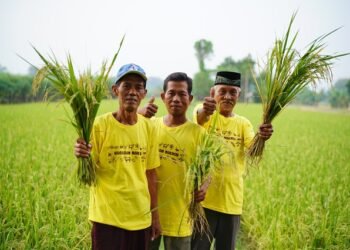 Pupuk Kaltim Raih Penghargaan Internasional Berkat Inovasi Pertanian Berkelanjutan