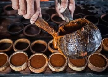 Perkebunan Aren di Kukar Kaltim Siap Topang Kebutuhan Gula Merah di IKN
