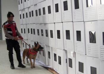 Keamanan KPU Balikpapan Diperketat, Anjing Pelacak Dikerahkan