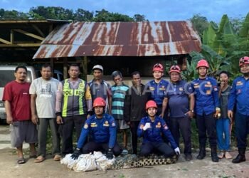 Buaya Masuk Kebun Warga, Damkartan Bontang Berhasil Evakuasi Satu Jam