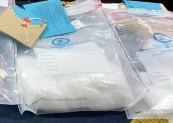 Gudang Sabu Berkedok Kandang Ayam di Samarinda, BNNP Kaltim Temukan 1,5 Kg Sabu