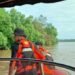 Tim SAR Sisir Sungai Belayan Kaltim, Cari Bocah Hilang yang Diseret Buaya sejak 3 Hari Lalu