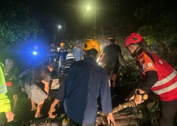 Pohon Tumbang di Tengah Badai, Brimob Sigap Buka Jalan di Balikpapan
