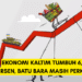 Ekonomi Kaltim Tumbuh 6,12 Persen, Batu Bara Masih Perkasa