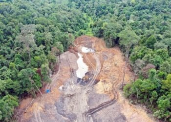 Polda Kaltim Periksa 12 Saksi Kasus Tambang Ilegal di Hutan Pendidikan Unmul Samarinda Koperasi Tambang Diduga Serobot Lahan KHDTK Unmul Samarinda, ESDM: Kami Tunggu Bukti Final Tambang Ilegal Serobot Hutan Pendidikan Unmul Picu Banjir di Samarinda