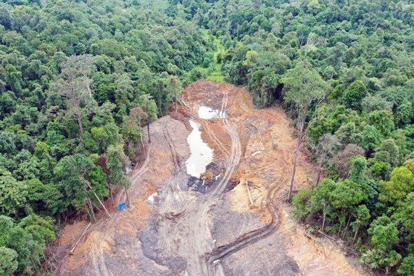 Polda Kaltim Periksa 12 Saksi Kasus Tambang Ilegal di Hutan Pendidikan Unmul Samarinda Koperasi Tambang Diduga Serobot Lahan KHDTK Unmul Samarinda, ESDM: Kami Tunggu Bukti Final Tambang Ilegal Serobot Hutan Pendidikan Unmul Picu Banjir di Samarinda