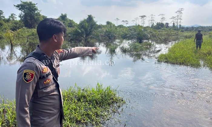 Nyaris Tewas! Pria di Teluk Pandan Kaltim Digigit Buaya saat Mengambil Lumut