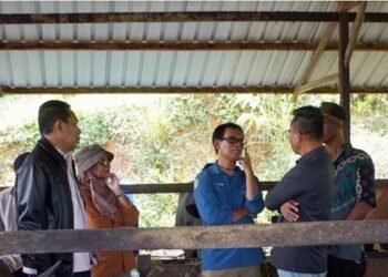 Pansus DPRD Kaltim Temukan Kendala di Proyek Desa Ternak Kutim, Ini Catatannya