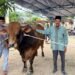 32 Sapi Kurban Disalurkan di Kaltim, Termasuk Sapi 960 Kg dari Presiden Prabowo