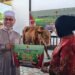 Presiden Prabowo Sumbang Sapi Simental 650 Kg untuk Masjid Tua Bontang