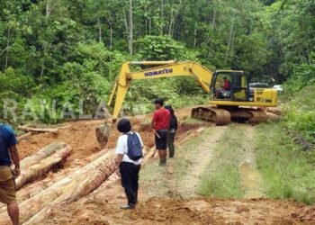 Rp2,08 Triliun Digelontorkan, Kaltim Kejar Target Jalan Provinsi Mantap 100 Persen Jalan Rusak, Penjaga Hutan Adat Wehea Kutim Minta Uluran Tangan Pemerintah