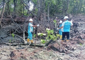 PT EUP Tanam 500 Pohon Mangrove di Tanjung Merangas, Total Sudah 67.500 Pohon untuk Bontang Lebih Hijau